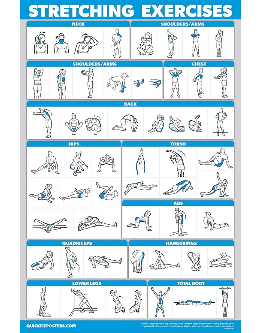 3er-Pack: Kurzhantel-Workout-Poster Volume 1 & 2 + Dehnübungen – Set mit 3 Trainingstabellen laminiert 45,7 x 61 cm - BAMOB63A