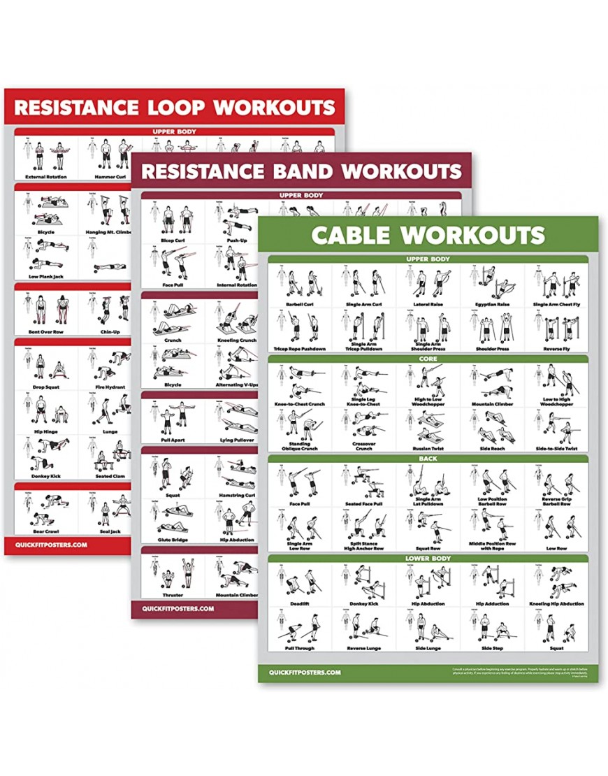 Palace Learning Widerstandsbänder + Trainingsbänder + Kabelmaschine Workouts Set mit 3 Workouts - BDDZX8KH