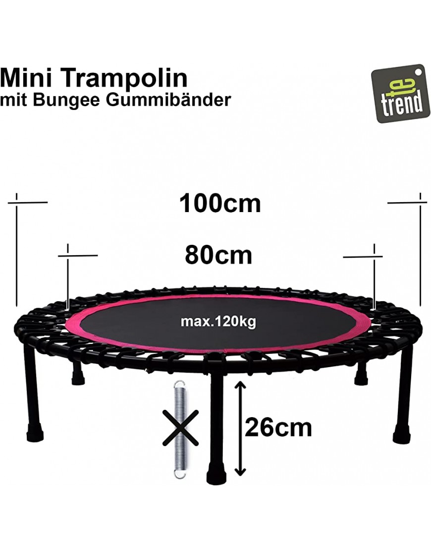 TE-Trend Fitness Trampolin Indoor für Kinder und Erwachsene als Heimtrainer Jumper 100 cm Mini Trampolin mit flüsterleisen Bungee Gummibänder für Zuhause pink - BYBGA4MN