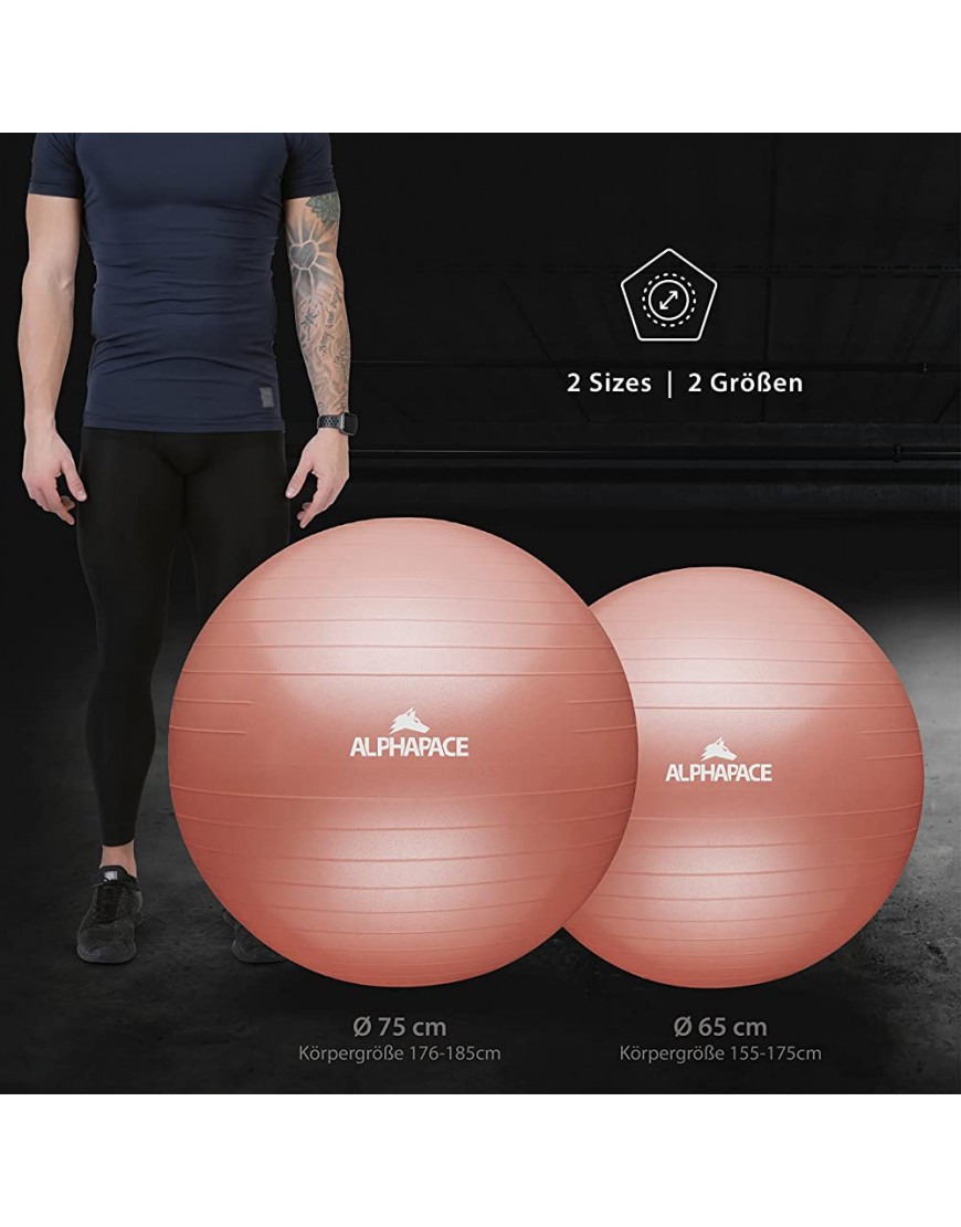 ALPHAPACE Dicker Anti-Burst Gymnastikball Sitzball Trainingsball inkl. Luft-Pumpe Ball für Fitness Yoga Gymnastik Core Training für starken Rücken als Büro-Stuhl - B09DQ8MXYY